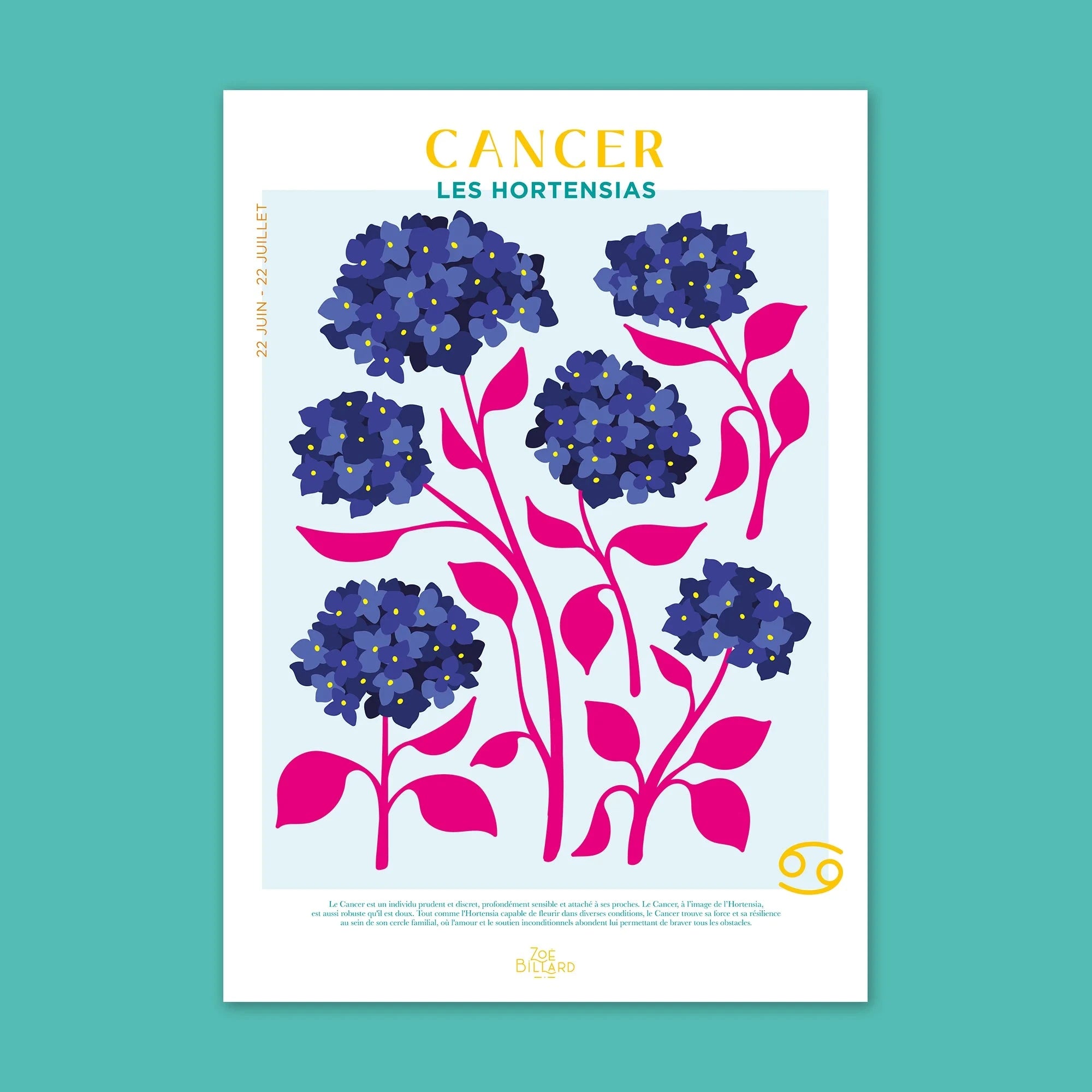 Cancer - Les Hortensias Zoé Billard