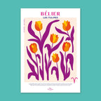 Bélier - Les Tulipes Zoé Billard