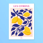 Les Citrons Zoé Billard
