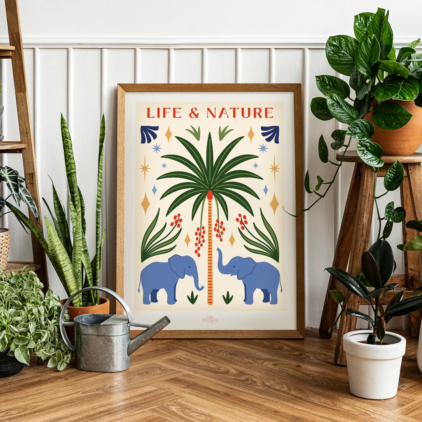 Life & Nature Zoé Billard