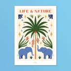 Life & Nature Zoé Billard