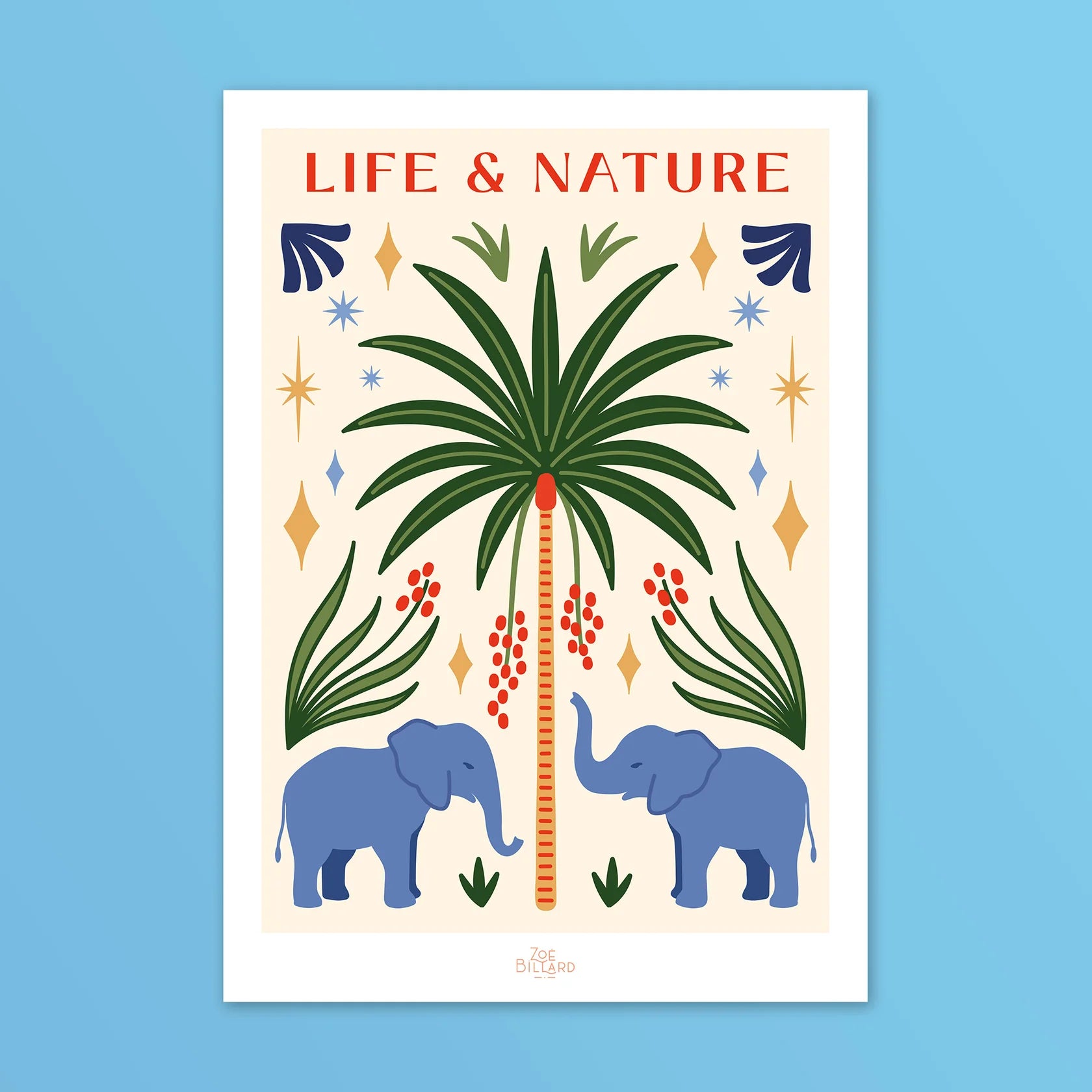 Life & Nature Zoé Billard