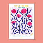 Sagittaire - Les Œillets Zoé Billard